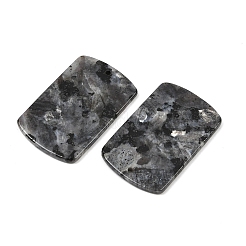 Pendentifs en larvikite naturelle&nbsp;G-K354-14H