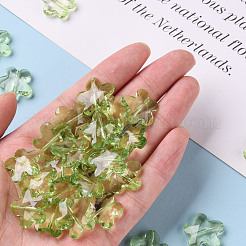 Perles en acrylique transparente&nbsp;TACR-S154-32B-83