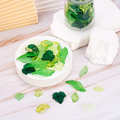 270pcs 9 transparente Acrylanhänger im Stil&nbsp;TACR-CD0001-02