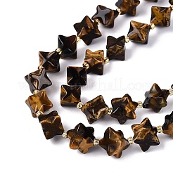 Natürlichen Tigerauge Perlen Stränge&nbsp;G-Q608-07A-06