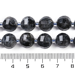 Natürliche Larvilitperlenstränge&nbsp;G-G182-B03-05