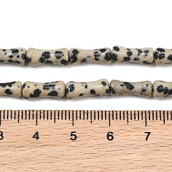 Dalmata naturale perline di diaspro fili&nbsp;GG-CBAEB22-A03-01