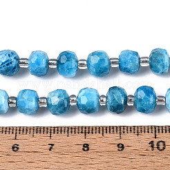Natürliche Apatit Perlen Stränge&nbsp;G-T144-A01-08
