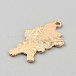 Pendente smaltati in lega&nbsp;FIND-CJC0028-06G-01
