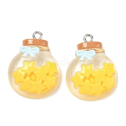 Pendentifs en résine transparente&nbsp;LS-RESI-K203-19