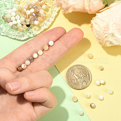 100 Stück Perlen aus 5 verschiedenen natürlichen weißen Muscheln&nbsp;SSHEL-YW0001-17