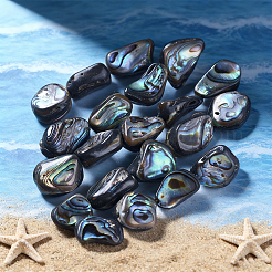 1 hebra de cuentas de concha de abulón natural/concha de paua&nbsp;SSHEL-PA0001-03