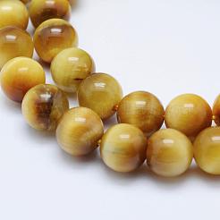 Natürliche Gold Tigerauge Perlen Stränge&nbsp;G-K203-84-8mm