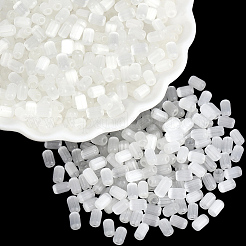 600 perle de verre de style banc à étirer&nbsp;SEED-PA0001-25B
