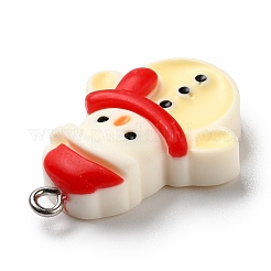 Pendentifs en résine opaque&nbsp;RESI-D055-013P