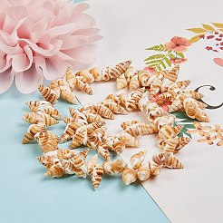 Spirale naturale perline shell fili&nbsp;BSHE-SZ0001-03