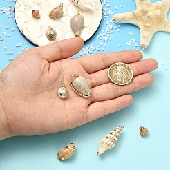 10 pendentif en coquillage naturel mélangé électroplaqué&nbsp;BSHE-YW0001-22
