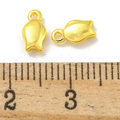 Cremagliera charms ottone placcatura&nbsp;KKB-L075-013G-02