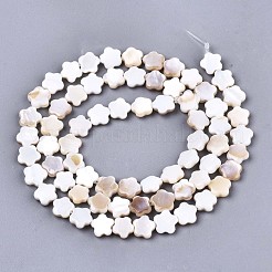 Natürlichen Süßwasser-Muschelperlen Stränge&nbsp;SHEL-N027-02