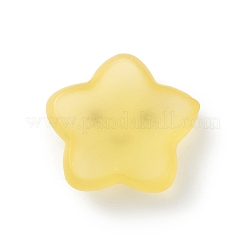 Decorazione luminosa dell'esposizione degli animali marini della resina&nbsp;DJEW-R007-01A