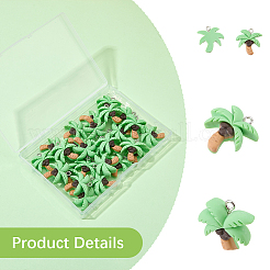 30pcs pendentifs en résine opaque&nbsp;RESI-SC0006-89