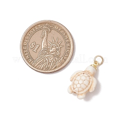 Pendentifs en turquoise synthétique teints&nbsp;PALLOY-JF05075-02
