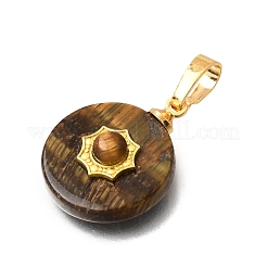 Pendentifs en œil de tigre naturel&nbsp;G-T151-01H