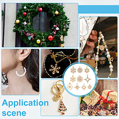 60 pièces 10 styles pendentifs en alliage strass&nbsp;FIND-PH0028-36G