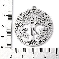 Anlaufgeschützte Anhänger aus 304er Edelstahl&nbsp;STAS-R116-08P