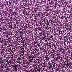Cuentas de rocailles redondas miyuki&nbsp;X-SEED-G007-RR0264