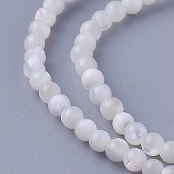 Shell Beads Strands, Round, 3~3.2mm, Hole: 0.5mm, about 130pcs/strand, 14.96 inch(38cm)