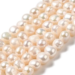 Brins de perles de culture d'eau douce naturelles, deux faces polies, Note 4 un, linge, 6.5~7x6.5~8x6~6.5mm, Trou: 0.6mm, Environ 52~53 pcs/chapelet, 13.58~13.78'' (34.5~35 cm)