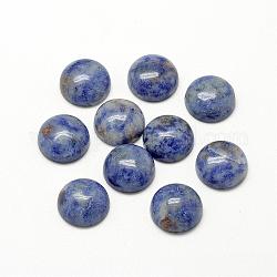 Cabujones de jaspe de punto azul natural, medio redondo / cúpula, 14x5~6mm