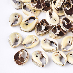 Perles de coquillages en spirale, mousseline de citron, 13~17x10~12x4~7mm, Trou: 1.2mm