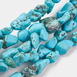 Natural Howlite Beads Strands, Dyed & Heated, Chip, 6~12x6~18x4~8mm, Hole: 1mm, about 45pcs/strand, 15.75 inch