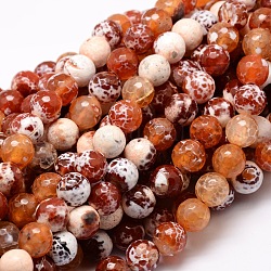 Tinti agata naturale perle tonde sfaccettato fili, corallo, 8mm, Foro: 1 mm, circa 48pcs/filo, 15.3 pollice