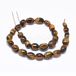 Natural Tiger Eye Beads Strands, Oval, 10.5~16.5x6.5~10.5mm, Hole: 1.2mm, about 28pcs/strand, 15.3 inch(39cm)
