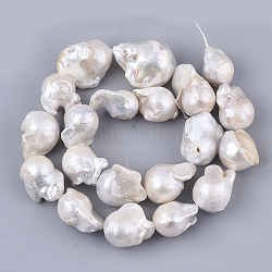 Perle baroque naturelle perles de perles de keshi, perle de culture d'eau douce, larme, couleur de coquillage, 15~30x13~23x13~15mm, Trou: 0.6mm, Environ 20 pcs/chapelet, 15.75 pouce (40 cm)