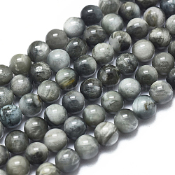 Naturadlerauge Perlen Stränge, Runde, 4 mm, Bohrung: 0.8 mm, ca. 96 Stk. / Strang, 15.55 Zoll (39.5 cm)