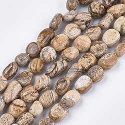 Chapelets de perles en jaspe avec images naturelles, pierre roulée, pépites, 8~19x8~12x4~8mm, Trou: 0.8mm, Environ 37 pcs/chapelet, 15.9 pouce