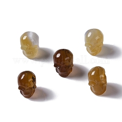 Perles d'agate naturelles, crane, teints et chauffée, 13x10x11.5mm, Trou: 1mm
