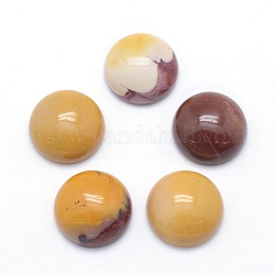 Cabochons Mookaite naturales, semicírculo, 10x4~5mm