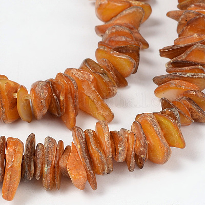Shell perle naturali fili&nbsp;PBB226Y-1-1