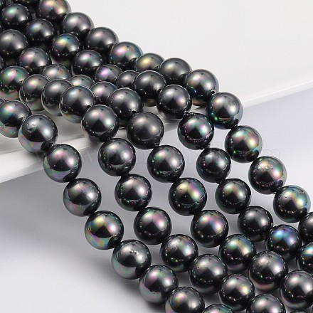Chapelets de perles en coquille BSHE-R146-10mm-08-1