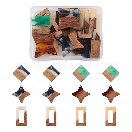 Cheriswelry 12Pcs 6 Styles Transparent Resin & Walnut Wood Pendants RESI-CW0001-14-1