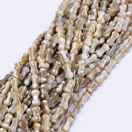 Chapelets de perles en coquille teintées BSHE-E023-05A-1