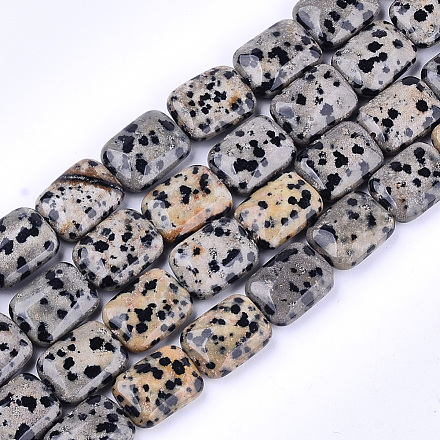 Natur Dalmatiner Jaspis Perlen Stränge X-G-T121-16-1