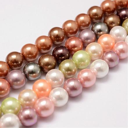 Cuentas perlas de concha de perla BSHE-L018-M-8mm-1