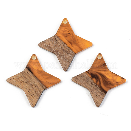 Resin & Walnut Wood Pendants RESI-S389-011A-A01-1
