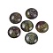 Natural Dragon Blood Cabochons, Half Round/Dome, 25x7~8mm