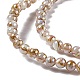 Brins de perles de coquille d'eau douce naturelles de style drawbench SHEL-F003-10A-4