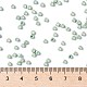 TOHO Round Seed Beads X-SEED-TR08-PF0570F-4