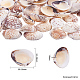 1 boîte coquilles coquilles Saint-Jacques coquille de palourde perles colorées avec des trous pour la fabrication artisanale 40-50pcs BSHE-YW0001-01-3