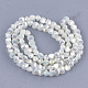 Chapelets de perles en verre électroplaqué EGLA-S179-02A-I02-2
