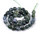 Natur Moos Achat Perlen Stränge G-Q952-05-8x10-2